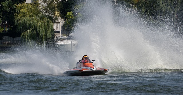 的竞争力 的竞争力