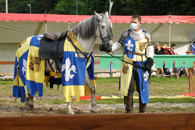 亚历山大展 亚历山大展
