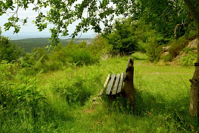 令对手防不 令对手防不