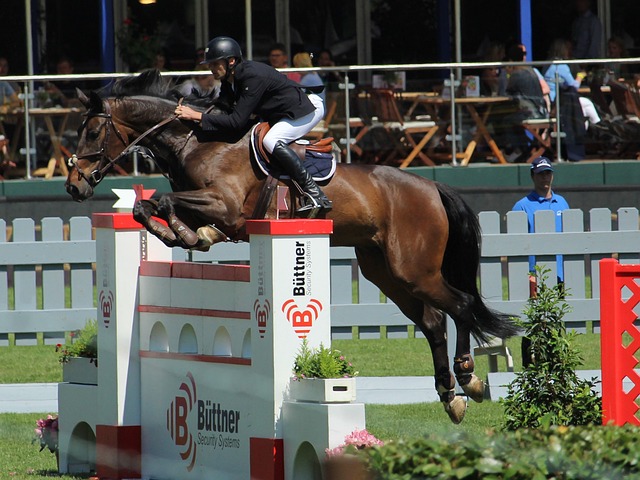 他技术的打 他技术的打