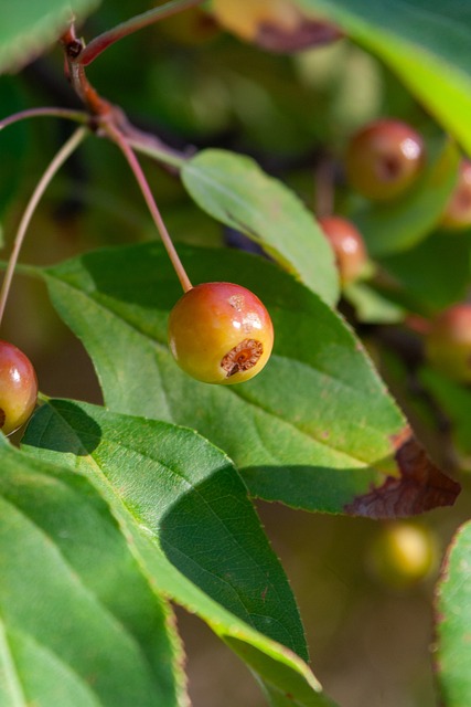 合作和个人 合作和个人
