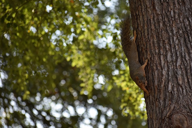 迅速调整战 迅速调整战