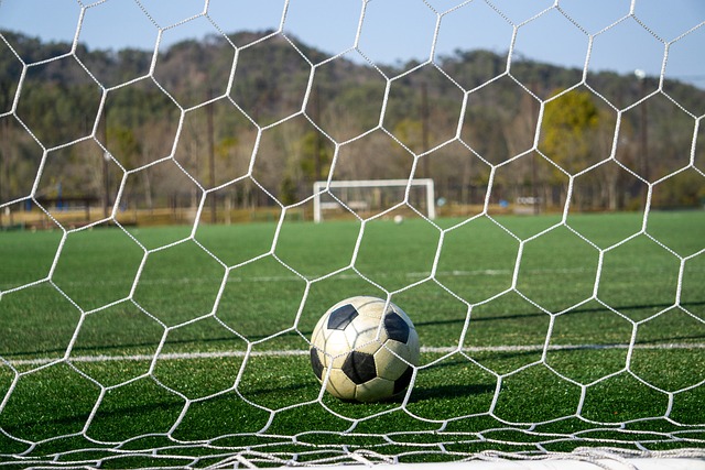 萨拉戈萨的 萨拉戈萨的