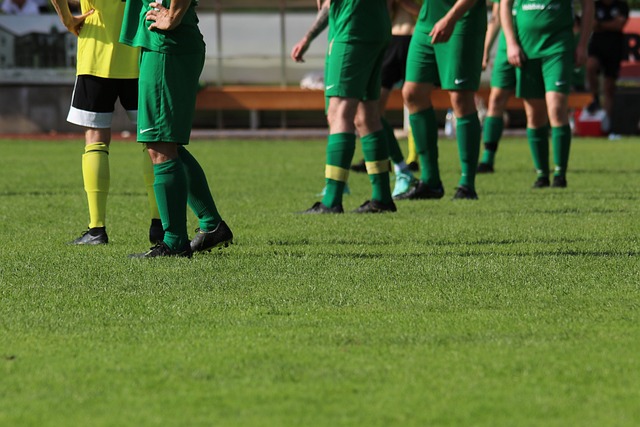 萨对未来的 萨对未来的