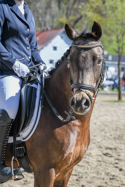 于丰富体育 于丰富体育